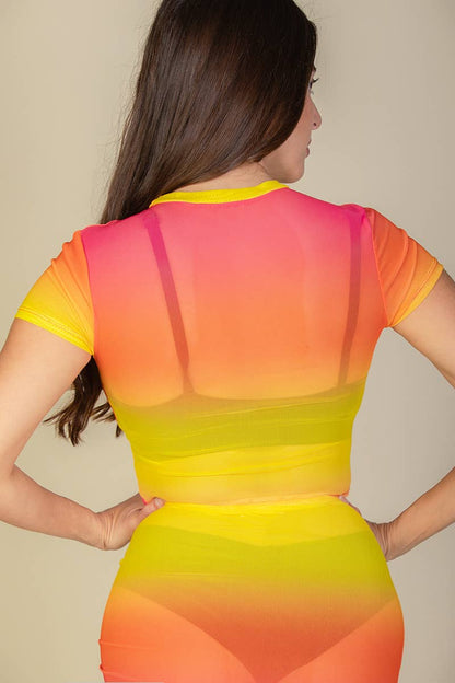 Mesh Sheer Crop Top: Black /