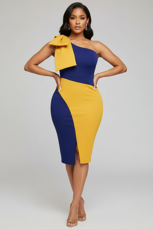 Dress IN 2 COLOR