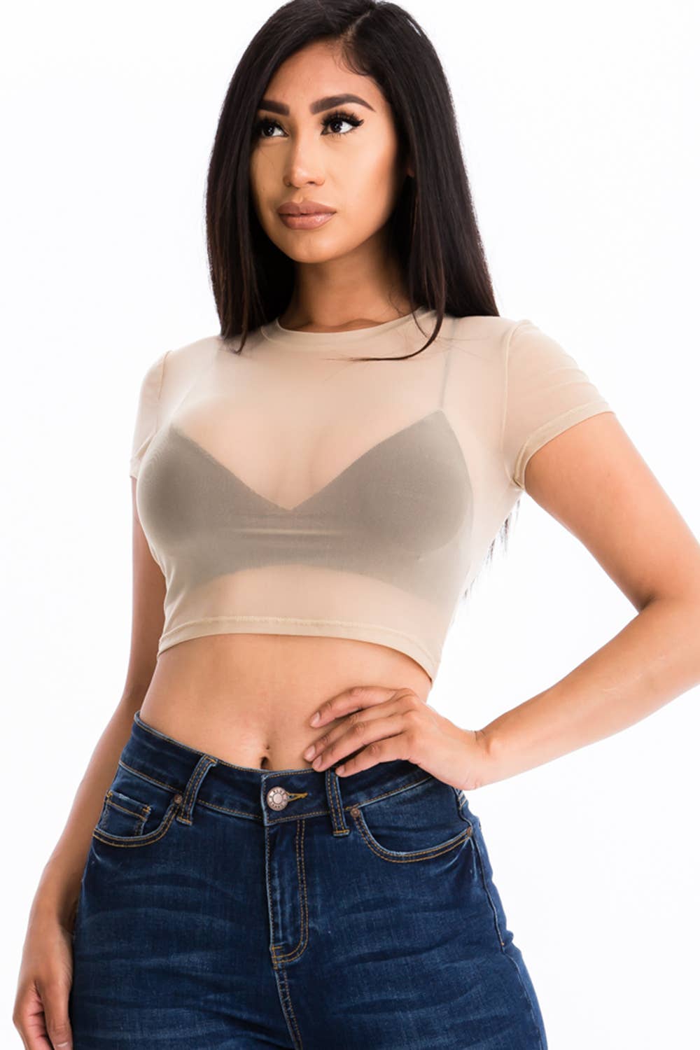 Mesh Sheer Crop Top: Black /
