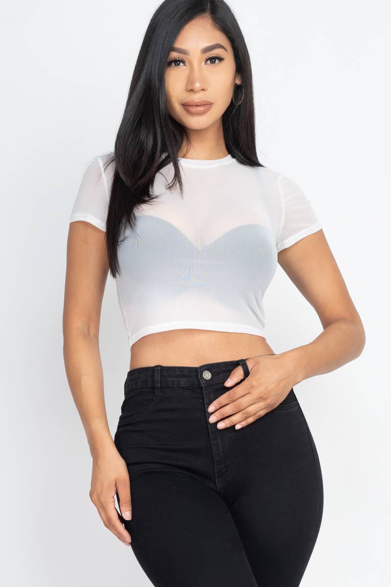 Mesh Sheer Crop Top: Black /